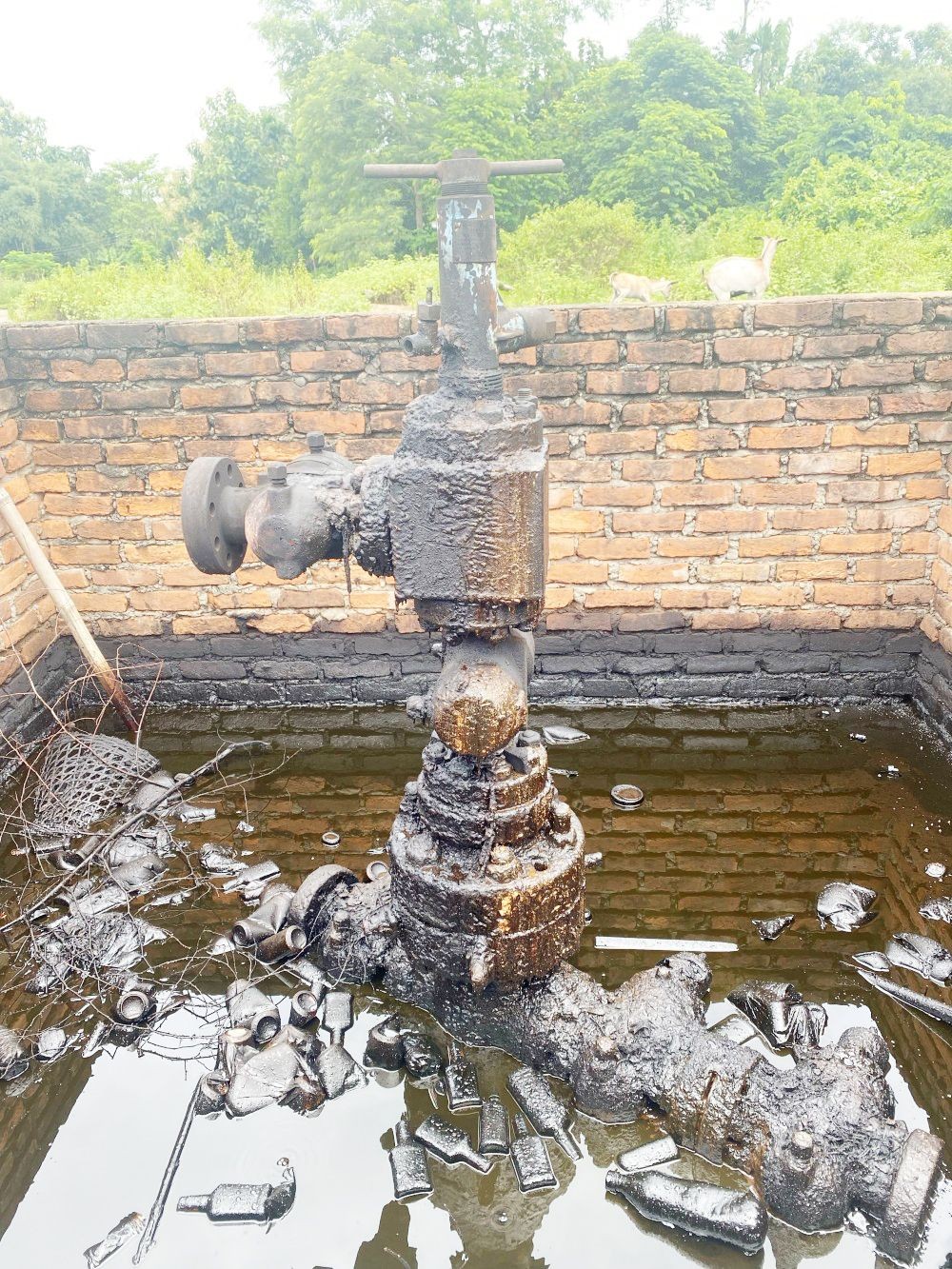 An oil well at Tssori-Champang in Wokha district. (File Photo)